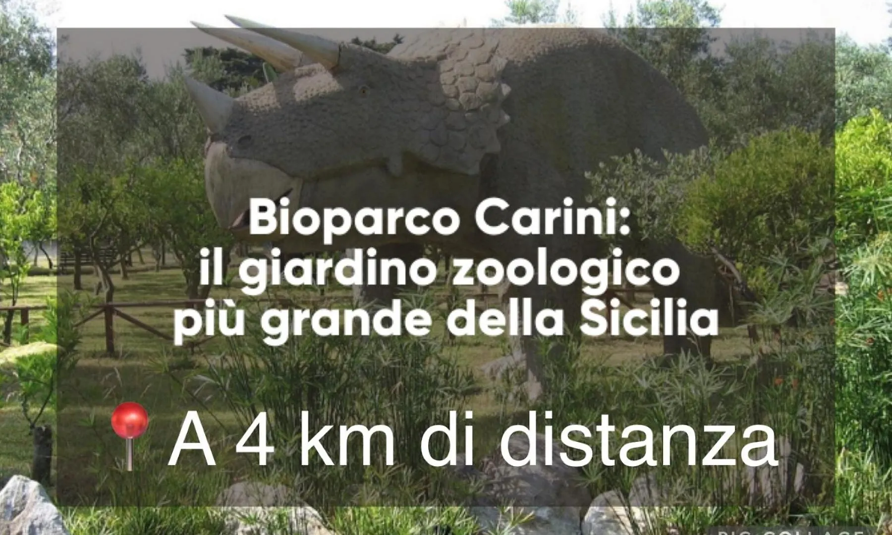 Sirio Rooms And Apartments Carini Italy